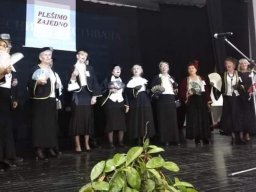Festivali &raquo; Ja imam talenat 2023